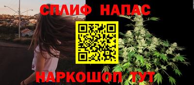 индика Бузулук
