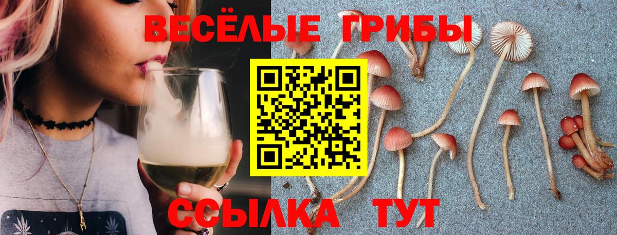 Галлюциногенные грибы прущие грибы  Вход с VPN  Борисоглебск 