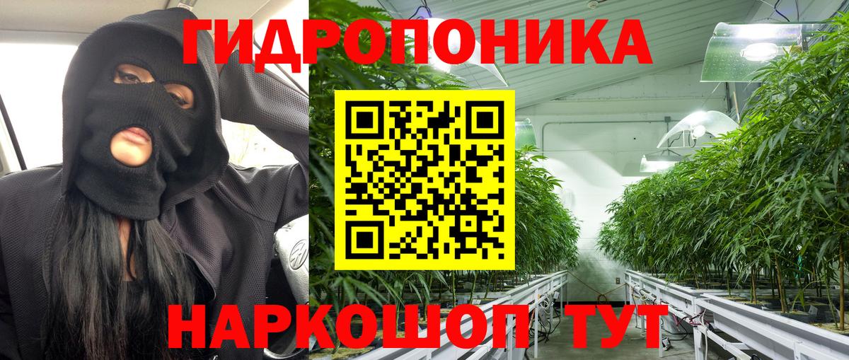 Шишки марихуана конопля  Вход с VPN  МАРИХУАНА AK-47  Шишки марихуана OG Kush  Каннабис марихуана  Борисоглебск 